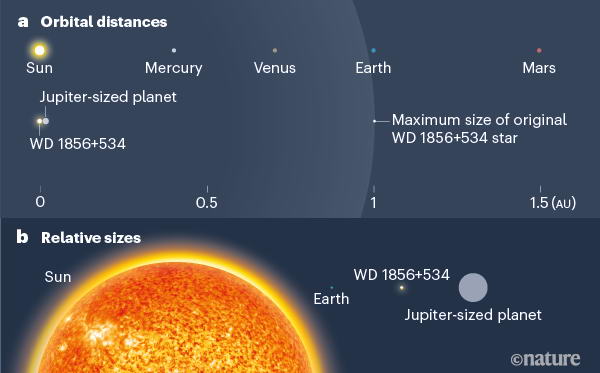 太阳系和本次白矮星（WD1856+534）系统的比较图。图ａ比较太阳和各行星间的距离，及白矮星及其行星的距离，后者的距离较前者小很多。而在1个天文单位的圆弧线，显示白矮星前一个演化阶段的红巨星大小。图b比较太阳和地球的大小，及白矮星和其行星的大小。