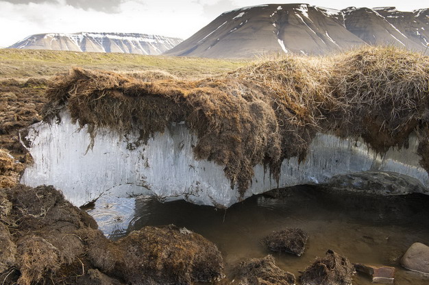 北极地区的永冻层逐渐溶解，释放出致命古老微生物