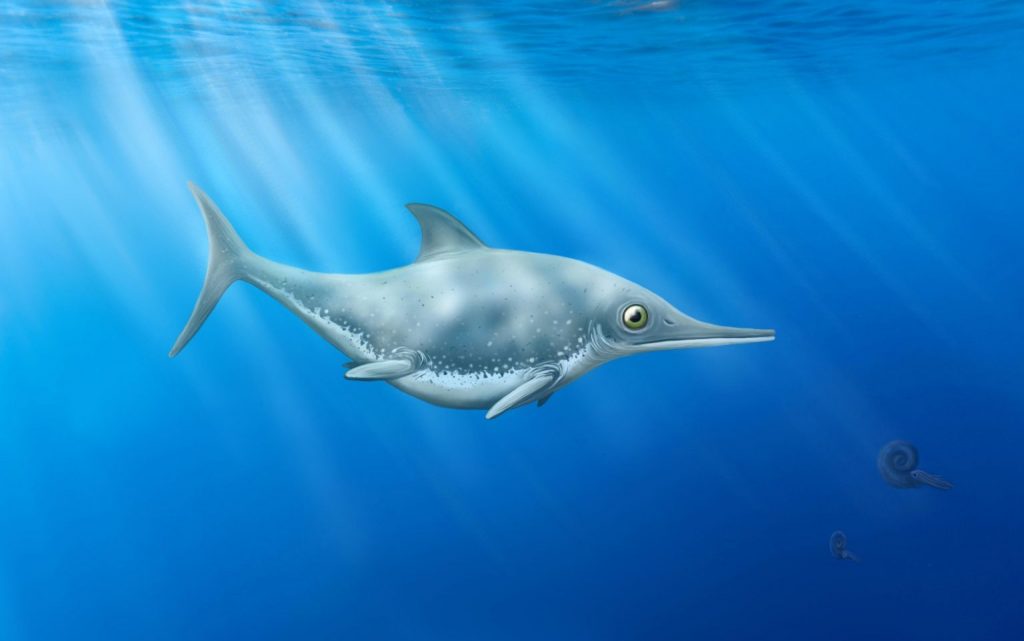 英吉利海峡发现新的鱼龙化石——生活中侏罗纪的深海鱼龙