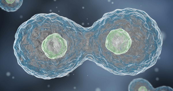 海拉细胞：拯救了数十万人生命的不死癌细胞
