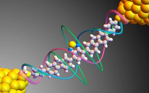 科学家研发出6纳米长的单分子控制开关