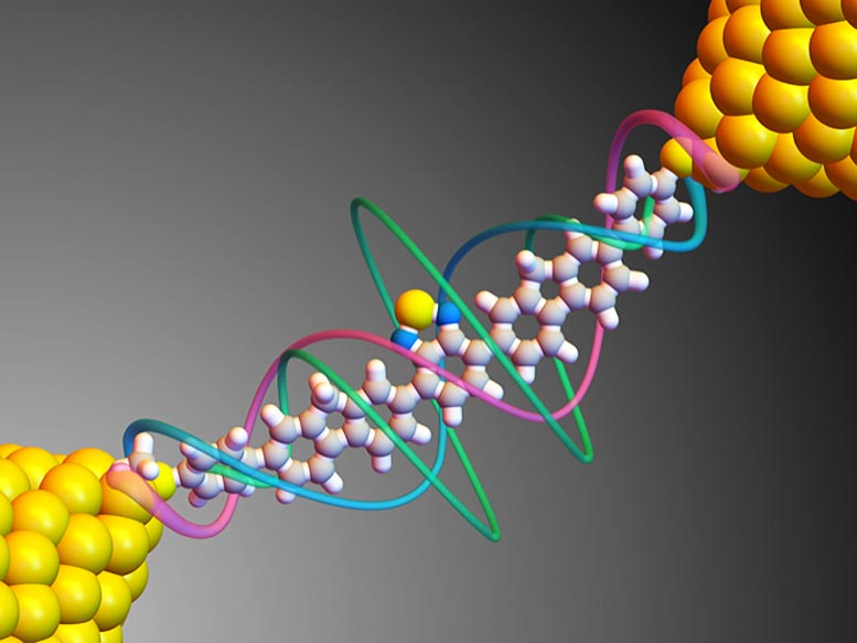科学家研发出6纳米长的单分子控制开关