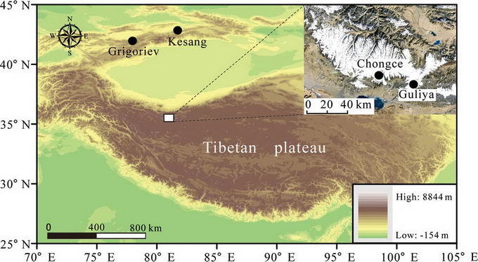 科学家在青藏高原冰川中发现15000年前的远古病毒，依然具有传染性