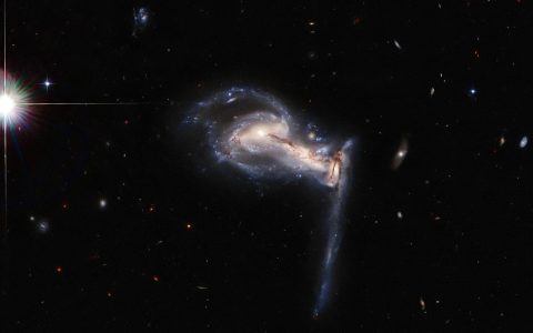 Arp 195（UGC 4653）：独特的三重星系