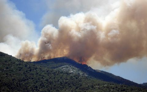 今年全球各地的野火导致二氧化碳排放突破记录