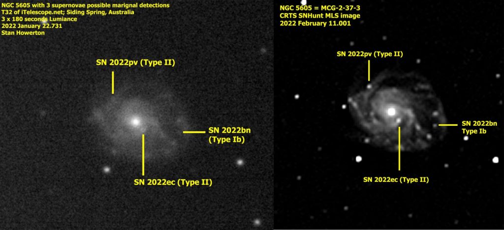 图片说明：左边的照片是1月22日由Stan Howerton于赛丁泉天文台使用业余天文望远镜T32（口径43厘米）拍摄，右边则由地面的专业望远镜卡塔莉娜实时瞬变源巡天设施（口径1.5米）于2月11日拍摄。
