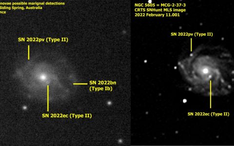 NGC5605星系中同时发生着三起超新星爆发