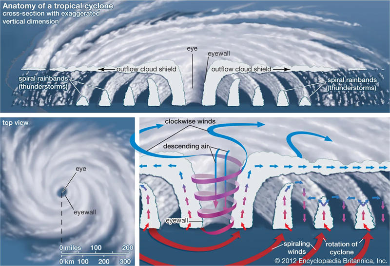 台风风力最大的部位是风眼墙