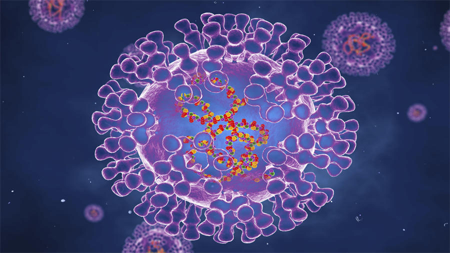 猴痘病毒图片