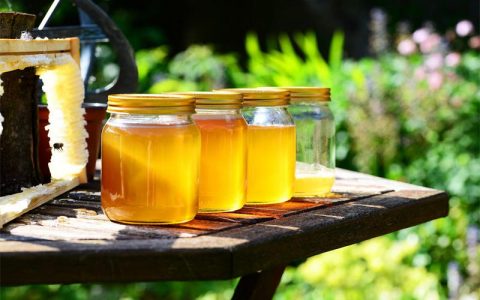 为什么蜂蜜不会变质腐烂？