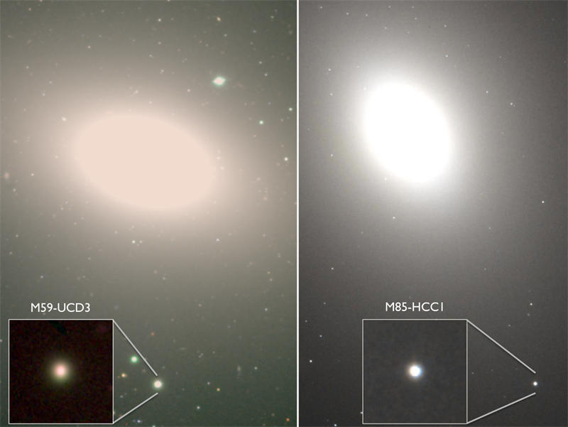 M59-UCD3和M85-HCC1是两个恒星密度最大的超紧凑矮星系，恒星密度堪比银河系核心