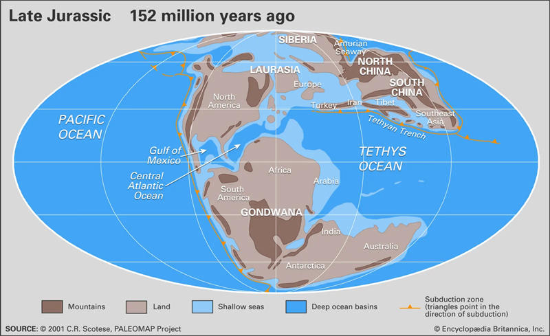 侏罗纪时期盘古超大陆分裂成北方的劳亚大陆和南方的冈瓦纳大陆