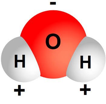 水分子是一种极性分子