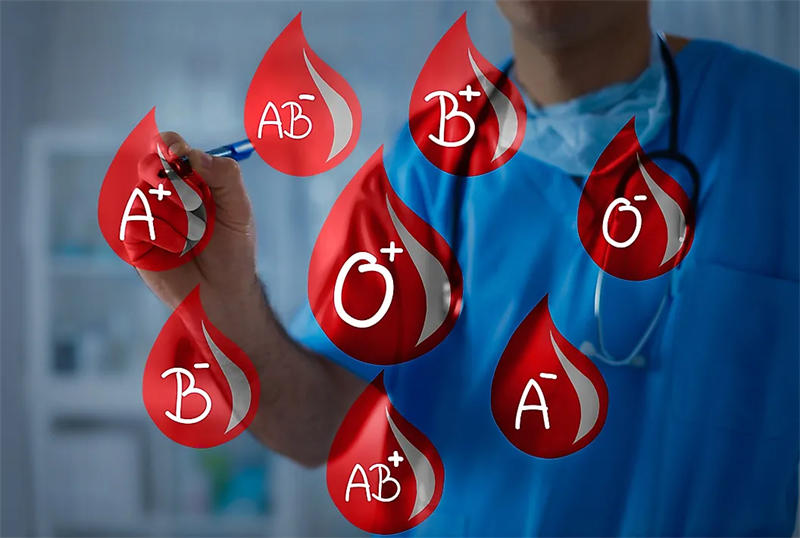 人类已知四种主要血型：A、B、AB和O