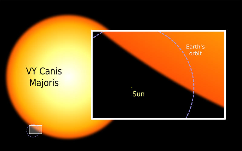 大犬座VY的半径相当于太阳的1420倍，接近于恒星的林忠四郎极限，如果是在太阳系那它表面将会超过木星轨道