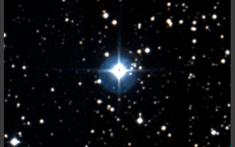 天琴座RR：天琴座RR型变星的标准烛光天体