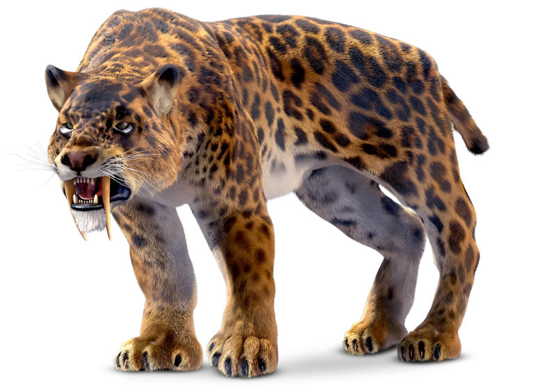 剑齿虎是一种生活在更新世的大型猫科动物，于1万年前灭绝