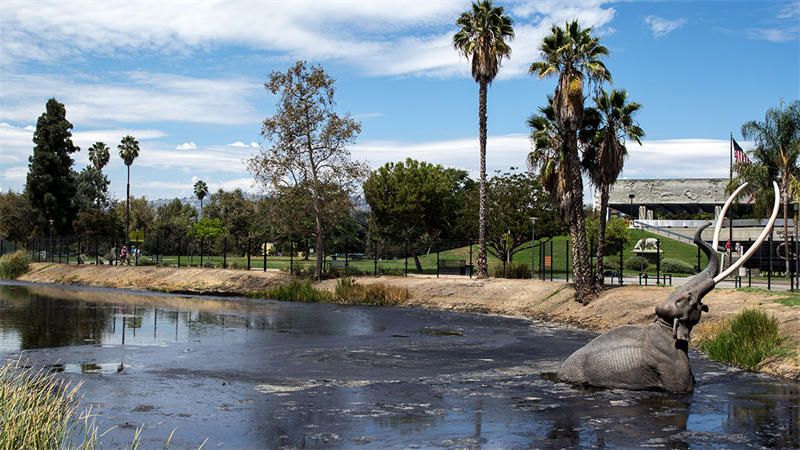 拉布雷亚沥青坑是世界上知名度最大的沥青湖，位于洛杉矶附近，目前这里已经开辟为一个古生物博物馆