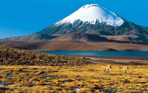 地球上最高的火山：奥霍斯德尔萨拉多山