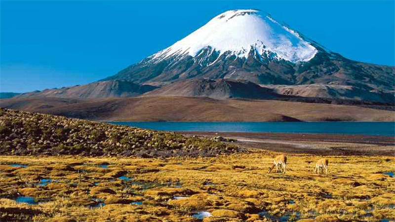 奥霍斯德尔萨拉多山是世界上海拔最高的火山