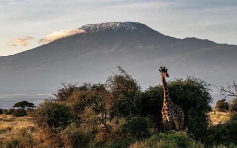 乞力马扎罗山：非洲最高峰是一座巨大的火山