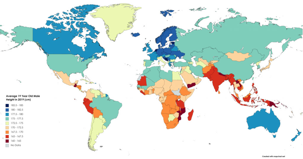 全球各国家男性和女性平均身高排行榜