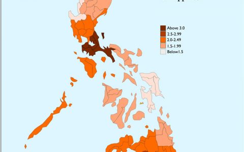 2022年菲律宾人口总数为1.13亿人，人口增长率1.35%