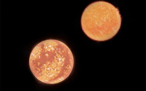 鲁坦726-8：距离地球第八近的恒星系统