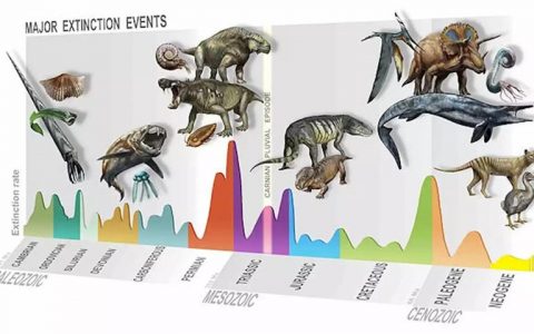 地球历史上最大的5次生物大灭绝事件数据对比