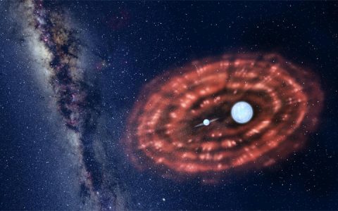 双星系统的恒星能够在超新星爆发中幸存下来么？