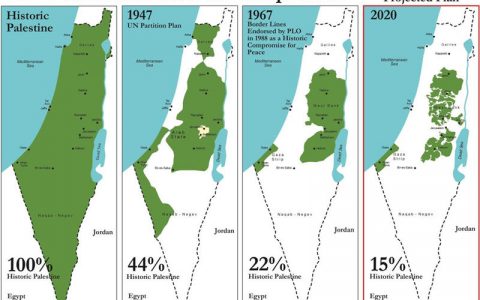 巴勒斯坦国土面积数据详情