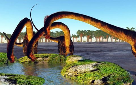 世界上10种最大的恐龙：阿根廷龙仅排第三名