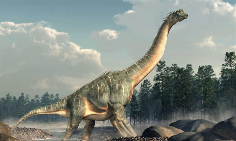 南极龙（Antarctosaurus）图片