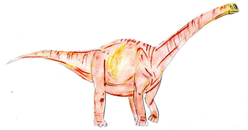 汝阳龙（Ruyangosaurus）图片