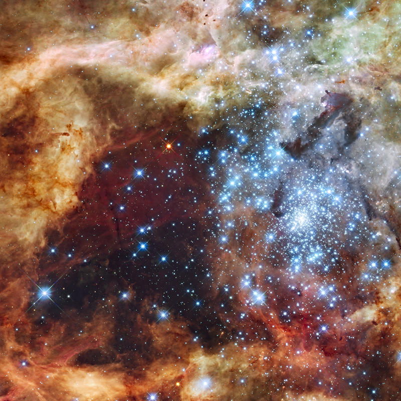这张可见光和紫外光的图像显示了红外波长如何穿透较冷的尘埃，揭示了蜘蛛星云中更多年轻的恒星。