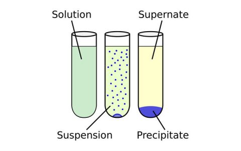 如何使用溶解度规则预测化学反应中是否会产生沉淀物