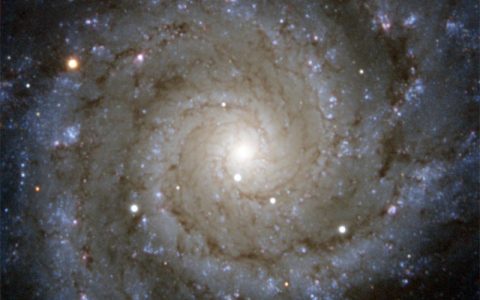 M74星系：螺旋星系的原型