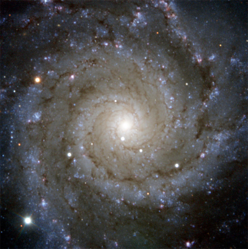 M74星系图片