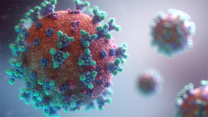 新冠病毒可能是世界上致死量第五的病毒