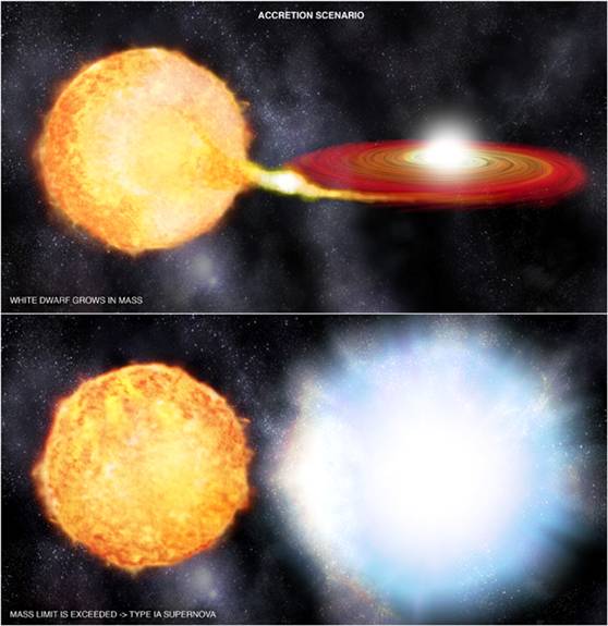 Ia型超新星是由白矮星吸收伴星物质从而使得白矮星质量增大到1.44倍太阳质量的时候形成的