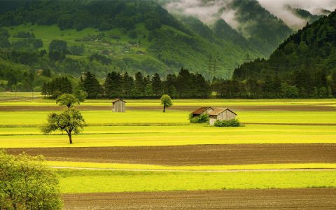 世界各国农业用地面积数据排行榜：印度第一中国第四