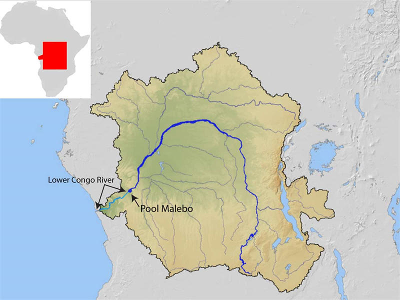 刚果河是世界上水流量第二大的河流，仅次于亚马逊河