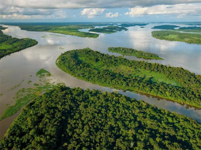 刚果河处于世界第二大热带雨林中，水量丰沛
