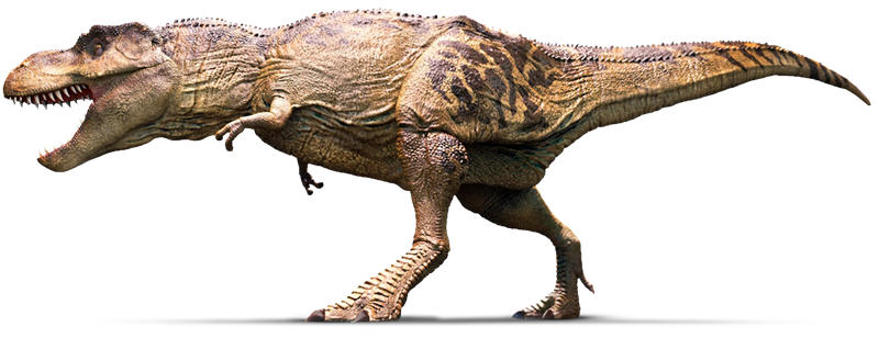 传统的复原图中霸王龙是裸露的皮肤，看着像是大蜥蜴
