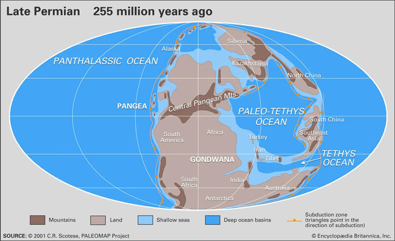 二叠纪时期的大陆合并成了盘古超大陆