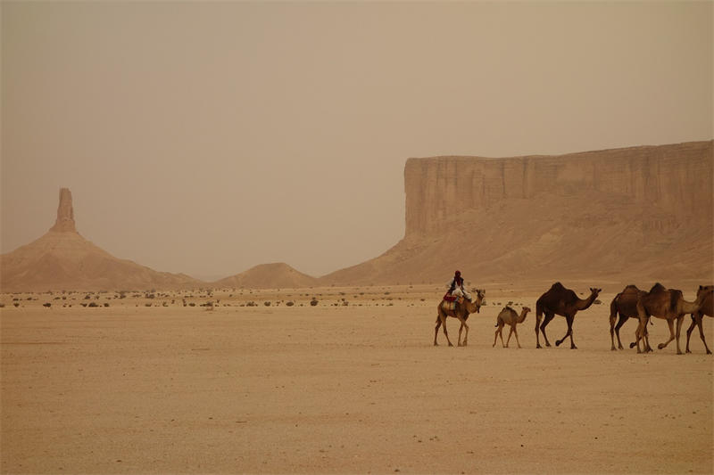 沙特阿拉伯的沙漠