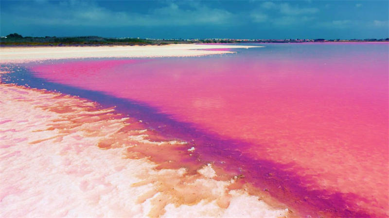 塞内加尔的玫瑰湖是一个粉红色湖泊