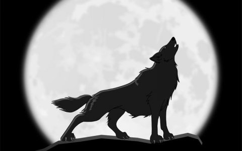 为什么狼会对着月亮嚎叫？