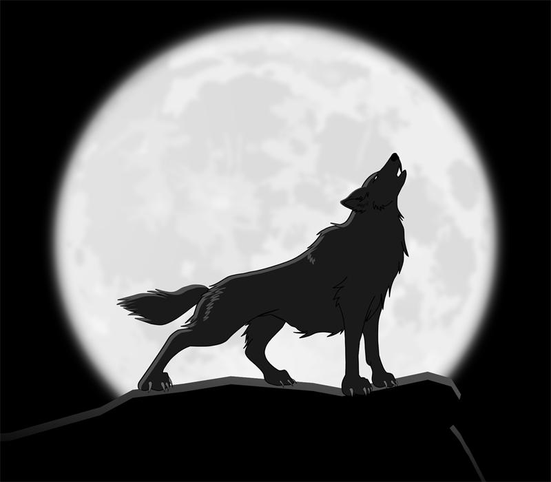 传说中狼会对着月亮狼嚎
