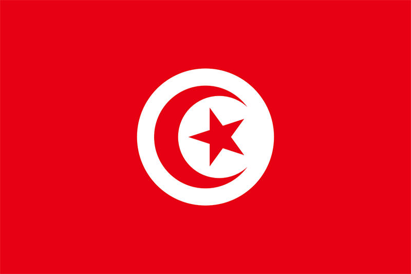 突尼斯国旗图片